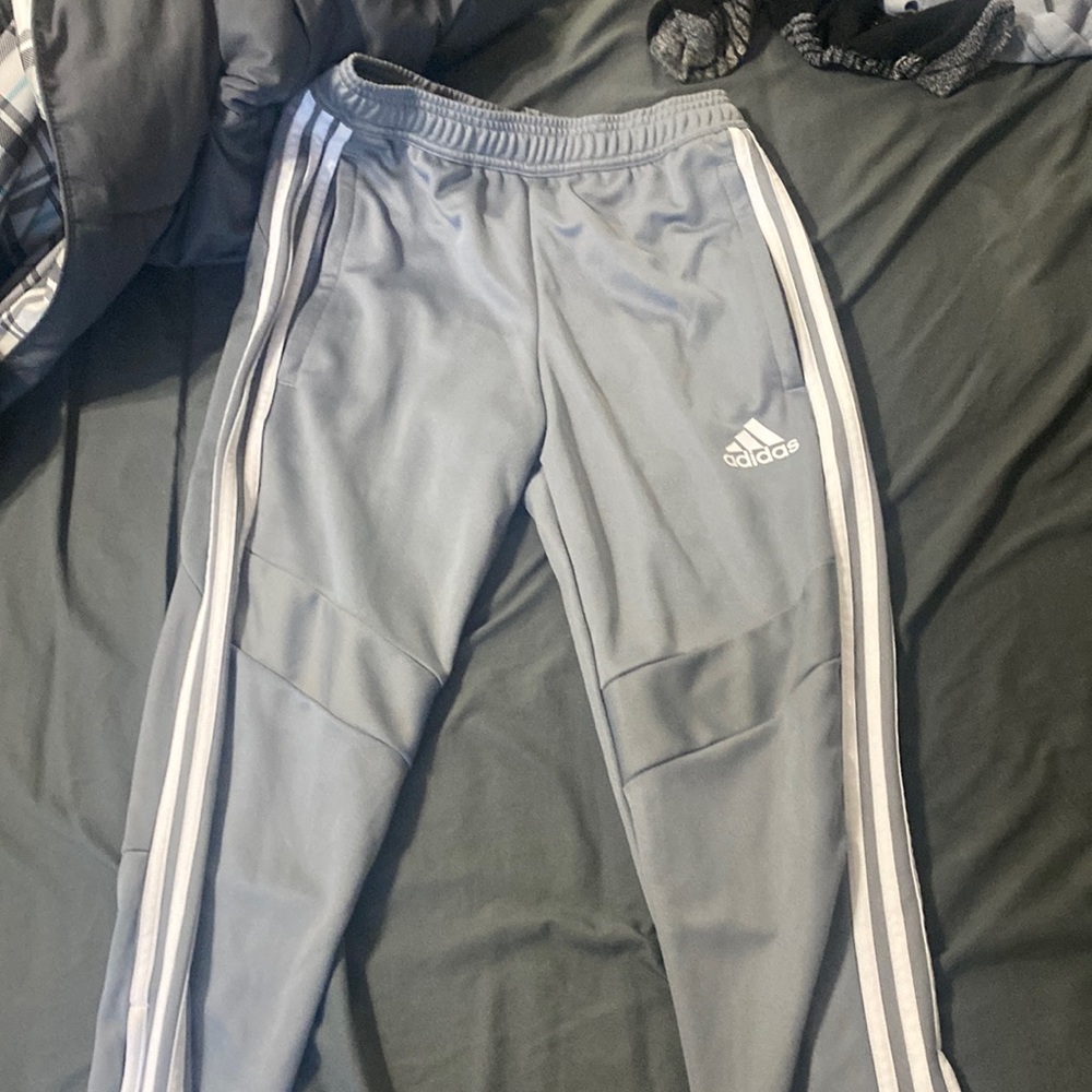 Tiro 19 adidas pants